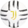 Juventus Turin Club Fußball