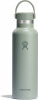 Hydro Flask 21 oz Standard Flex Cap Thermosflasche