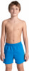 Arena Fundamentals Logo Badeshorts