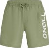 O'Neill Logo Badeshorts