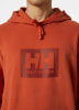 Helly Hansen HH Box férfi kapucnis felső