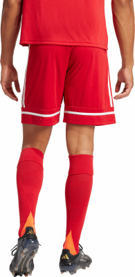 adidas SQUA25 SHO M Short AEROREADY