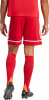 adidas SQUA25 SHO M Short AEROREADY