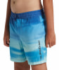 Quiksilver Everyday Fade Volley Badeshorts