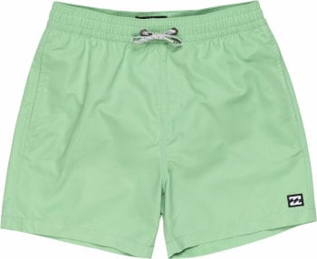 Billabong All Day Badeshorts