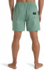 Billabong Every other Day Badeshorts