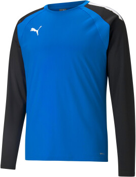 Puma TeamLIGA Training Sweater