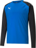 Puma TeamLIGA Training Sweater