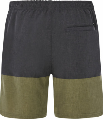Protest Prtfreddie Beachshort