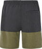Protest Prtfreddie Beachshort