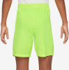 Nike Trophy23 Dri-FIT Shorts