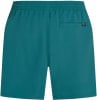 O'Neill Cali Swim Badeshorts