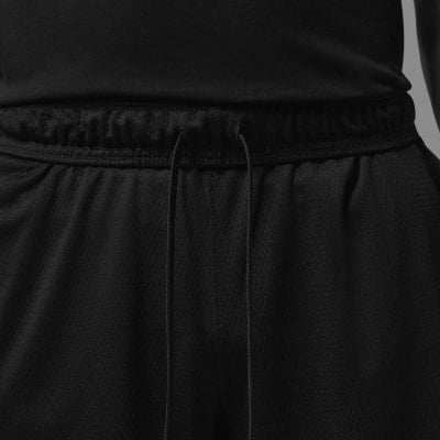 Nike Jordan DriFit Shorts Nike Jordan DriFit Shorts