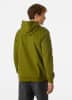 Helly Hansen HH Logo Hoodie férfi kapucnis felső