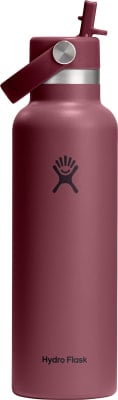 Kleine weinrote Hydro Flask Flasche mit Strohhalm und Griff. Kleine weinrote Hydro Flask Flasche mit Strohhalm und Griff.