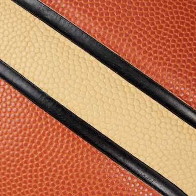 Pro Touch Harlem 900 Basketball
