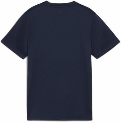 Puma teamGOAL Trainingsshirt