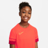 Nike Dri-Fit Acadmey Trainingstrikot