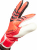 adidas Predator Match Torwarthandschuhe