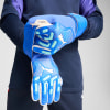 Puma Future Match NC Torwarthandschuhe