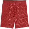 Puma FPF Shorts Replica Fanshort