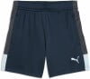 Puma Individual LIGA Fussballshorts