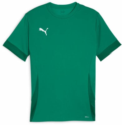 Puma teamGOAL Matchday T-Shirt