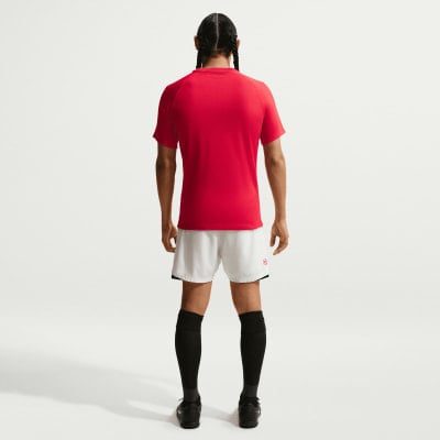 Nike Dri-Fir Park VIII Fußballtrikot