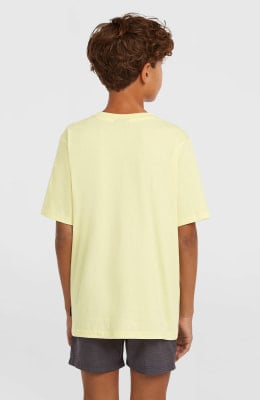 O'Neill Logo Stripe Badeshorts