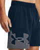 Under Armour Woven Graphic Shorts