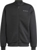 adidas Terrex Xploric Jacke