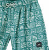 O'Neill Print Badeshort