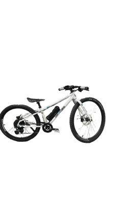 Ben-E-Bike Twentyfour E-Power PRO