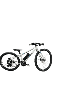 Ben-E-Bike Twentyfour E-Power PRO