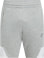 Seppo II Shorts