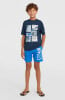 O'Neill Cali Badeshorts