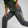 Puma IndividualLIGA Trainingshose