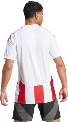 adidas STRIPED 24 JSY Trikot AEROREADY