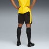 Puma BVB Shorts Replica w Fanshort