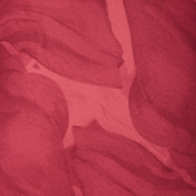 Energetics Jade T-Shirt
