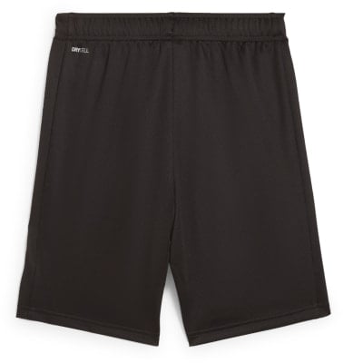Puma Active Sports Poly Shorts