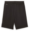 Puma Active Sports Poly Shorts