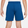 Nike Multi Dri-FIT gyerek rövidnadrág