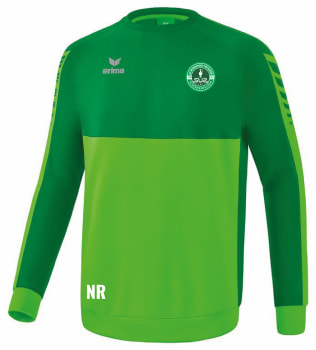 Sportunion Schenkenfelden Six Wings Pullover