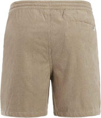 Protest PrtBairro Shorts