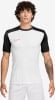 Herren-Fußballtrikot von Nike mit weißer Vorderseite und schwarzen Ärmeln.