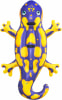 Bestway Salamander Aufblastier