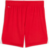 Puma teamLIGA26 Shorts Short 100%PES, dryCELL