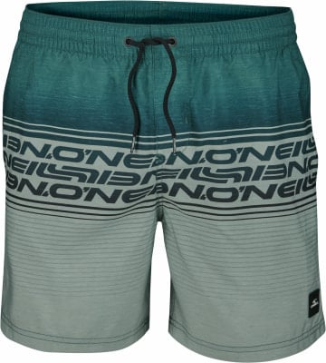 O'Neill Logo Stripe Badeshorts