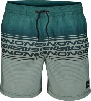 O'Neill Logo Stripe Badeshorts